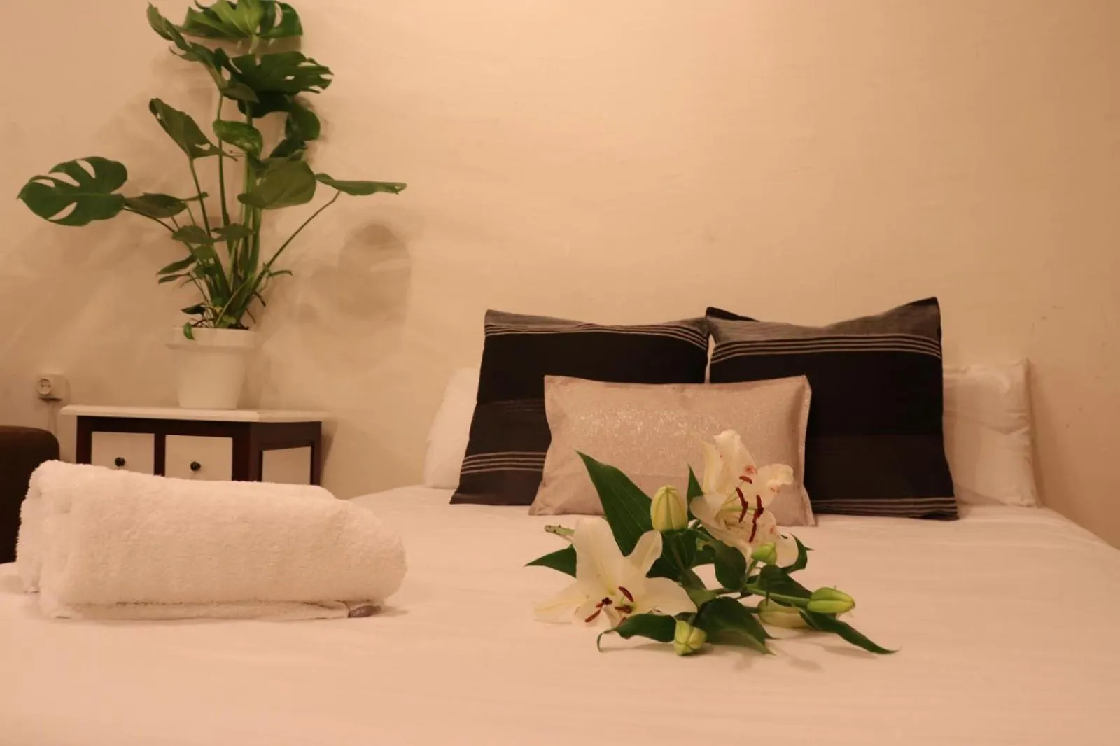 Harmony Rooms Barselona Oda ve Kahvaltı